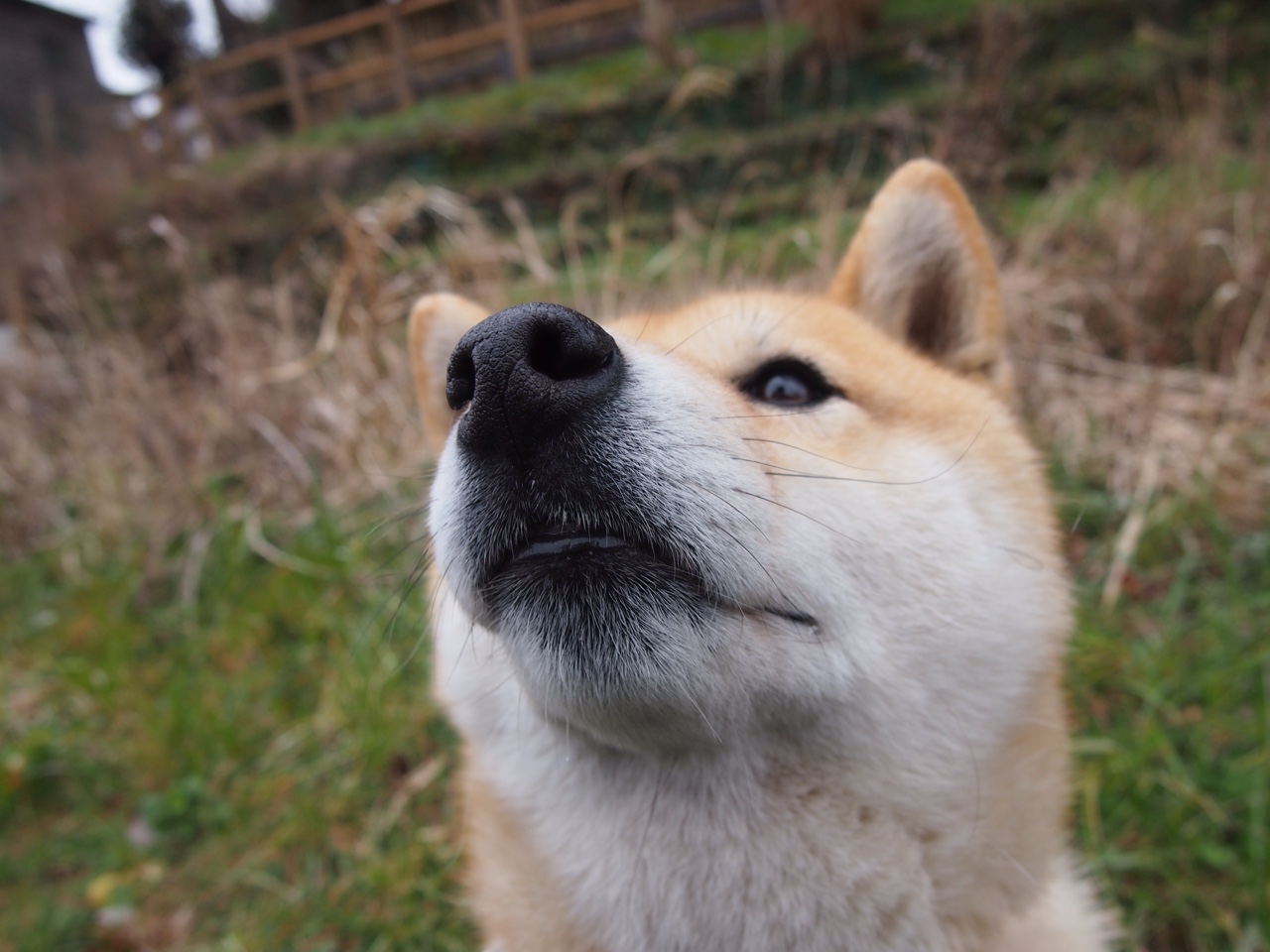 C罗团队规划退役后转型商业发展,c罗服役球队