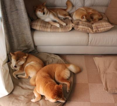 中超联赛中国队战平 球迷期待更多胜利，中超联赛情况