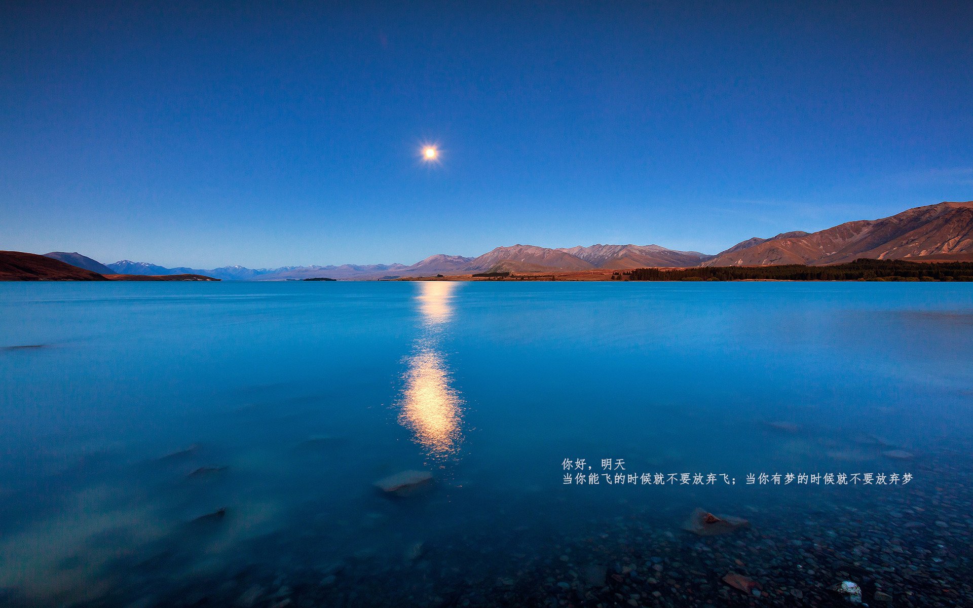 乐鱼体育官网下载-博卡青年门将神勇扑救赢得掌声，博卡青年1996年阵容